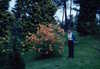 EK_0017.JPG