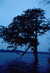 EK_0020.JPG
