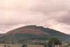 EK_0014.JPG