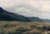 EK_0044.JPG