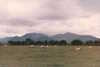 EK_0051.JPG