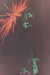 EK_0050.JPG
