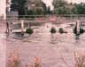 EK_0109.JPG