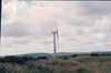 EK_0039.JPG