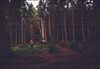EK_0003.JPG