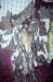 EK_0125.JPG