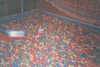 EK_0127.JPG