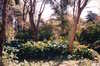EK_0036.JPG