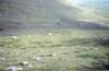 EK_0051.JPG