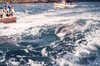 EK_0160.JPG