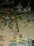 2000-02-29:Bugs
