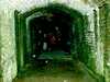 DSCF0008.JPG