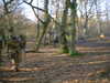 19980102023433-DSCF0032.JPG