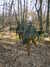 DSCF0021.JPG