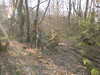 DSCF0022.JPG
