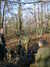 DSCF0026.JPG