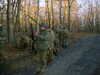 DSCF0030.JPG