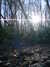 DSCF0036.JPG
