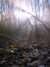 DSCF0038.JPG