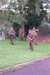 DCP_0059.JPG