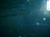 t2CF0031.JPG