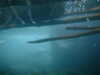 t2CF0036.JPG
