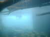t2CF0038.JPG