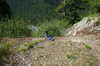 bcp_0233.jpg