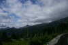 bcp_0239.jpg