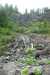 bcp_0250.jpg