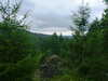 t2CF0053.JPG
