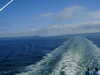 t3CF0009.JPG