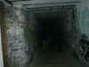 t3CF0027.JPG