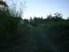 t3CF0042.JPG