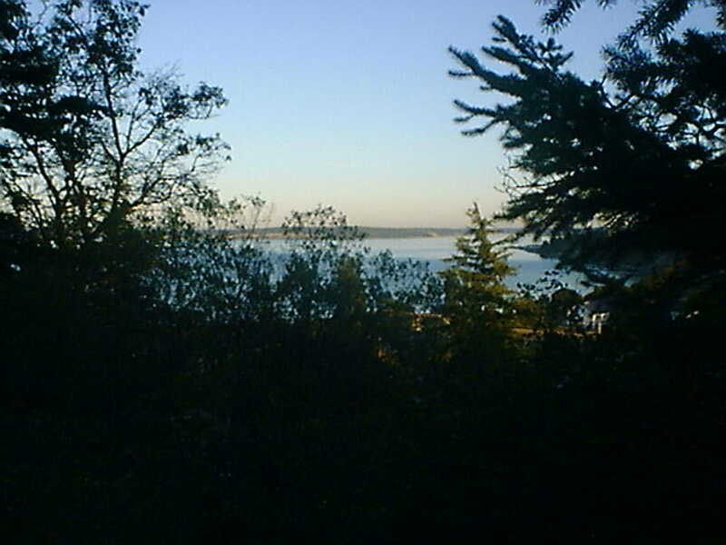 tscf0002.jpg