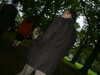 DSCF0007.JPG