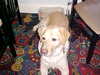 4_th_birthday__06.JPG