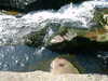 DSCF0114.JPG