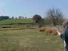 Sat__Walk_05.JPG