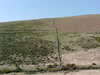 Sat__Walk_07.JPG
