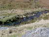 Sat__Walk_12.JPG