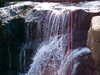 Sat_walk-_28.JPG