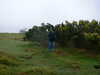 2002-03-31:Dartmoor
