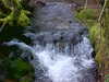 Sun_walk_-01.JPG