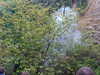 MVC-276F.JPG
