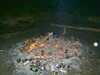 DSCF0048.JPG