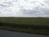 P1010031.JPG