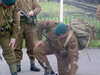 MVC-637F.JPG