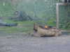 MVC-667F.JPG