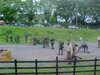 MVC-677F.JPG